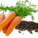 carrots transparente